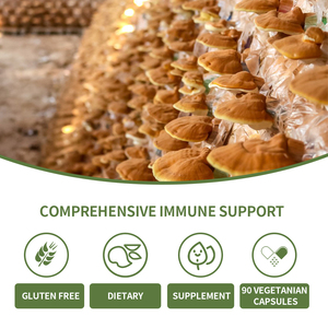 10 trong 1 phức tạp bột Reishi sư tử của bờm Chaga Đông Trùng Hạ Thảo turkeyt tial maitake nấm chay viên nang màu đỏ 500mg - Product Image 4