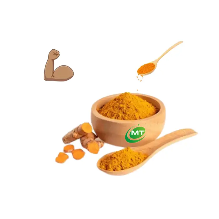 Kostenlose Probe hoher Qualität 10%- 95% Curcumin(SW) Organisches Kurkuma-Wurzel extrakt pulver Curcuma longa-Extrakt Bulk