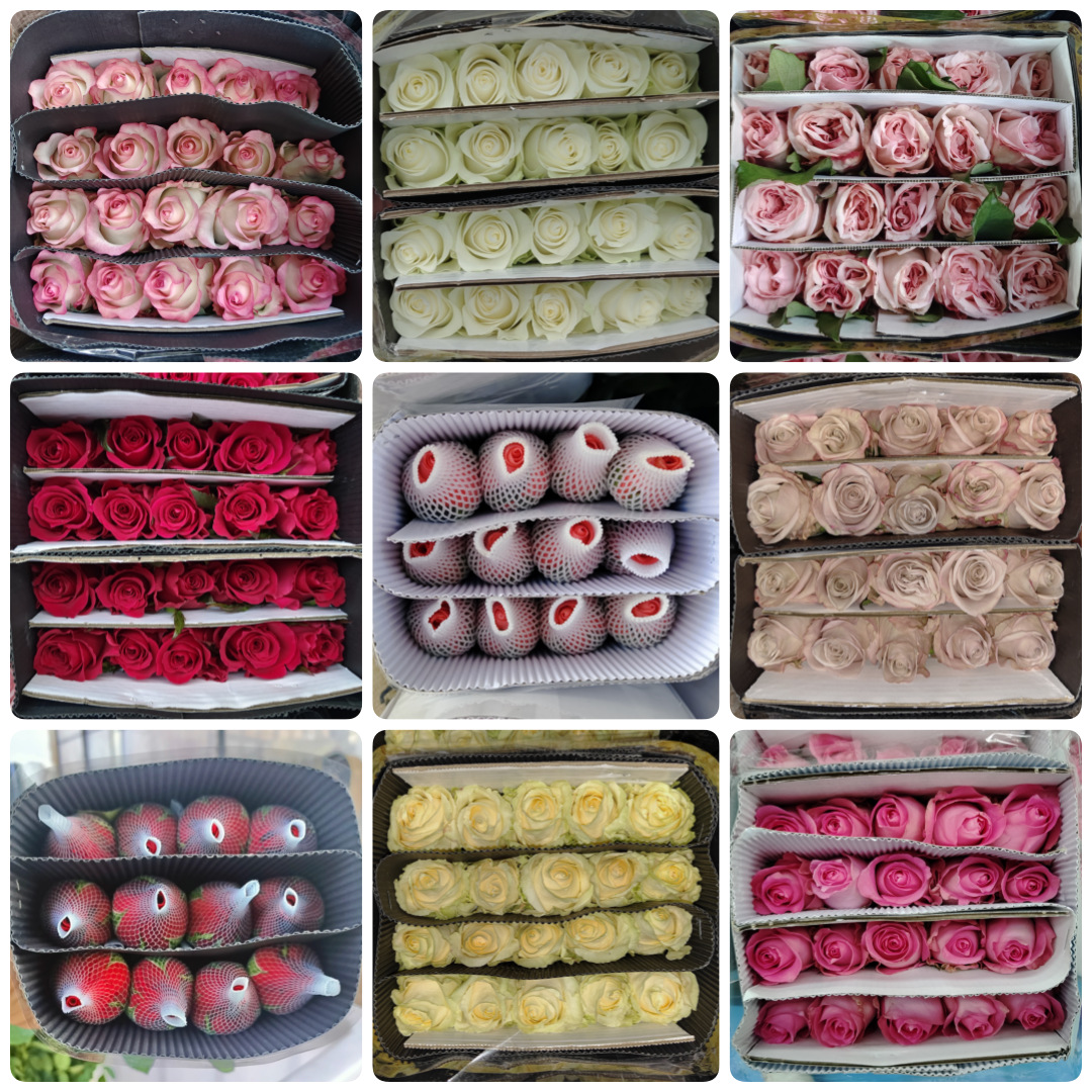 Aléatoire monochrome (20)