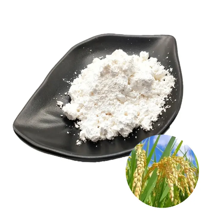 Fornecimento de ingredientes cosméticos naturais a granel de ácido ferúlico extrato de farelo de arroz 98% puro ácido ferúlico em pó