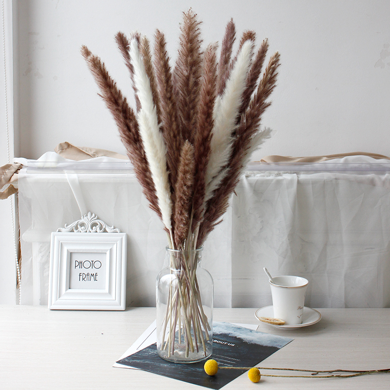 Bouquet pampas 3