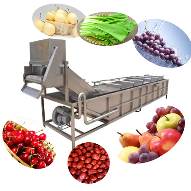 Industrial de palma fruta lavadora de vegetales lavado de equipo de procesamiento de
