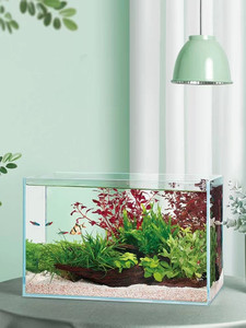 Platte Transparante 5Mm <span class=keywords><strong>Aquarium</strong></span> <span class=keywords><strong>Aquarium</strong></span> Ultra Clear Glas Gehard Glas Met Gepolijste Randen - Product Image 6