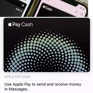 Small Cards Are Used for the <strong>Apple</strong> Cash Account. - Product Image 2