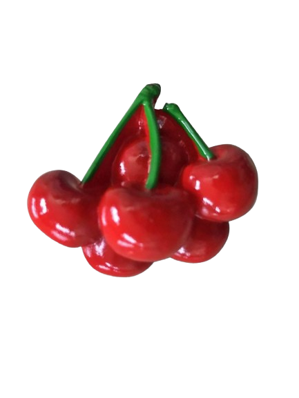 Cereza S22489