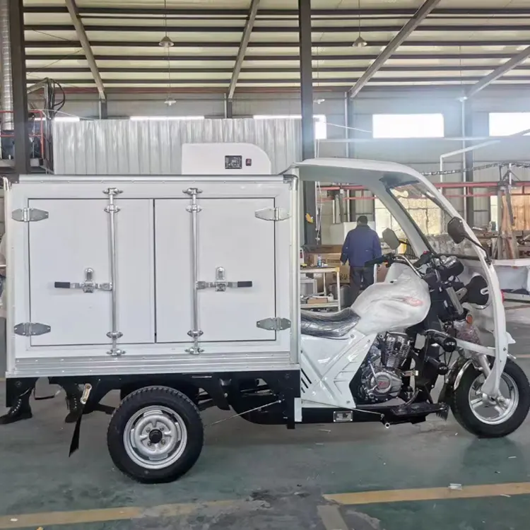 Çin 200cc üç tekerlekli soğuk hava tertibatlı kamyon buzdolabı soğutma kargo motosiklet üç tekerlekli bisiklet