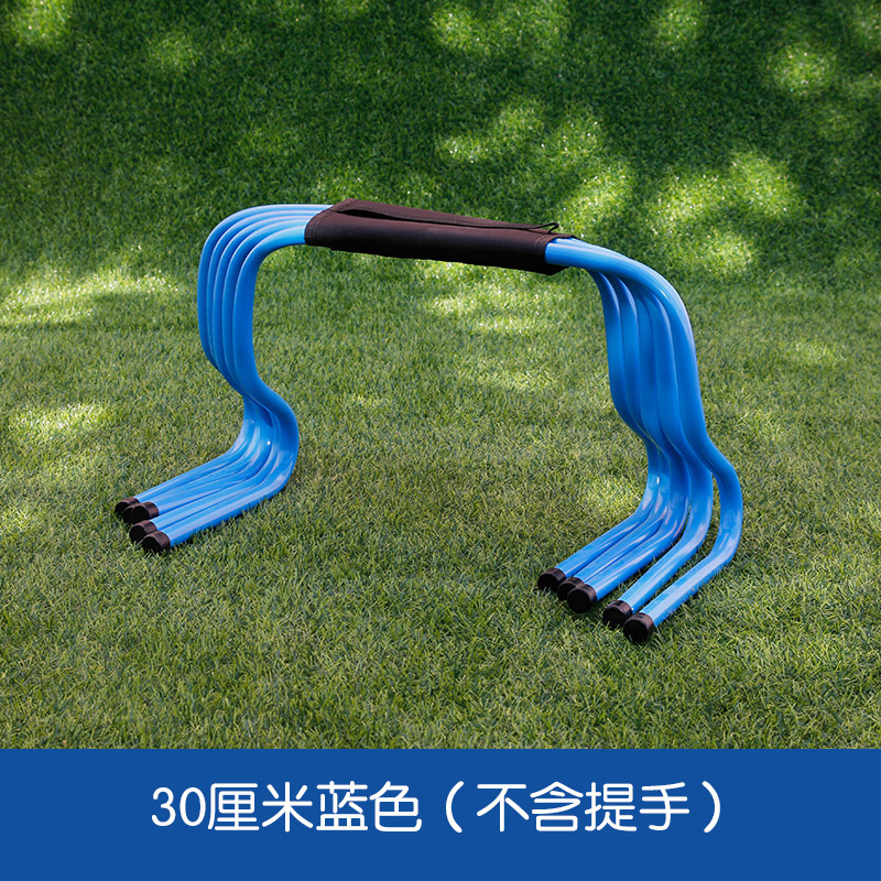 Haie de 30 cm, bleue, à l'unité.