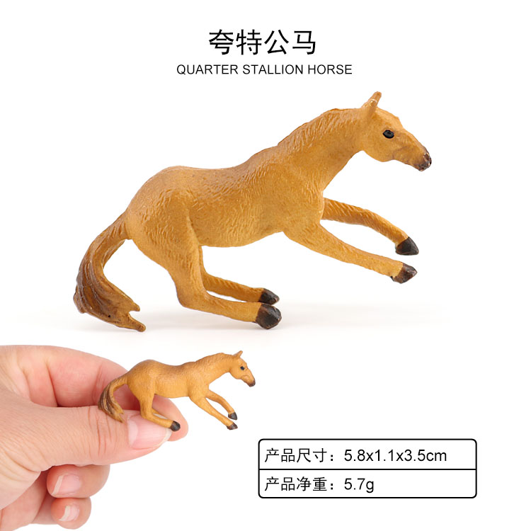 Caballo garzón trimestral 2024