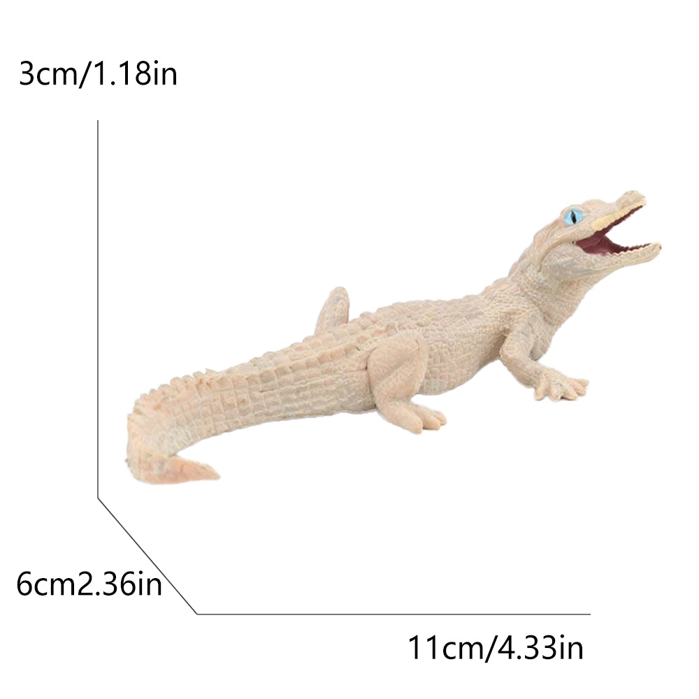 866 cocodrilo blanco-245g
