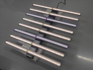 ไฟเรือนกระจกเติบโตในประเทศสหรัฐ240W/300W/640W/720W/800W/880W/1000W 2.6umol 3.0umol ใช้ในร่ม - Product Image 3