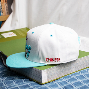 Novo 5 Painel Unisex Snapback Hat Profissional Atacado Personalizado logotipo Plain Snapback Cap