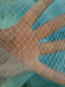 Giá Nhà Máy Tốt Nhất Bền 2ply Trắng Nylon Multifilament Lưới Đánh Cá Sardin Lưới Đánh Cá Cho Câu Cá - Product Image 6