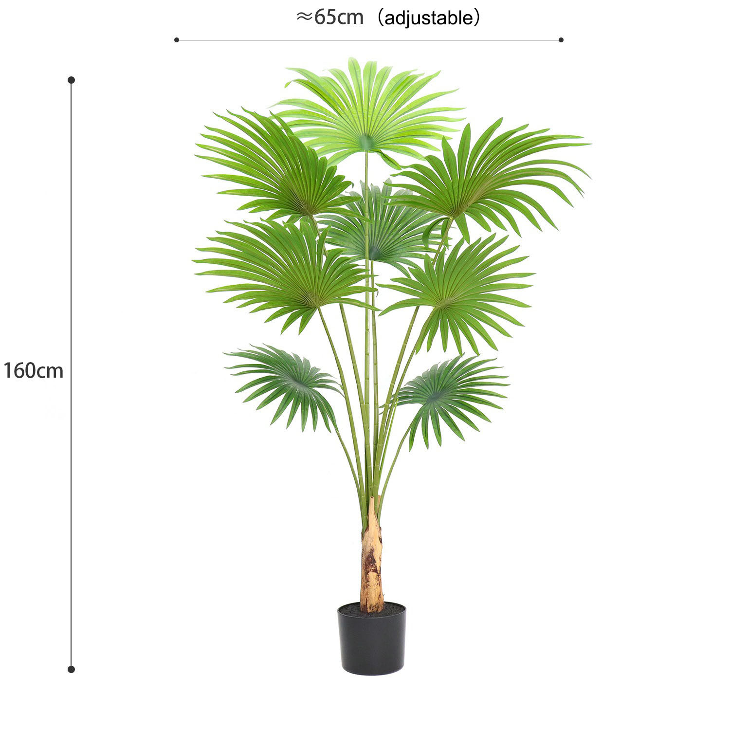 hauteur 160cm