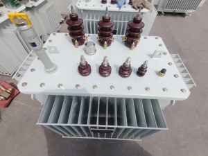 1250KVA Transformador de potencia sumergido en aceite S13 Alto voltaje 50Hz Frecuencia 36V Salida con 6KV 69KV 35KV Entrada en el cambiador de tomas de carga - Product Image 5