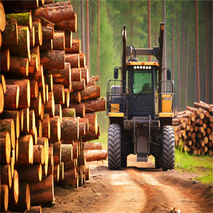 Forestry Tire <strong>23.1</strong>-<strong>26</strong> 18.4-<strong>26</strong> 16.9-30 18.4-34 18.4-30 Agricultural Tire <strong>Ls</strong>-<strong>2</strong> Pattern - Product Image 2
