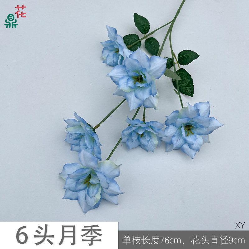 Rose à 6 têtes XY Bleu