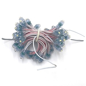 LED-Pixel modul licht im Freien einfarbiges LED-Pixel 0,2 W 12V LED-Pixel licht - Product Image 1