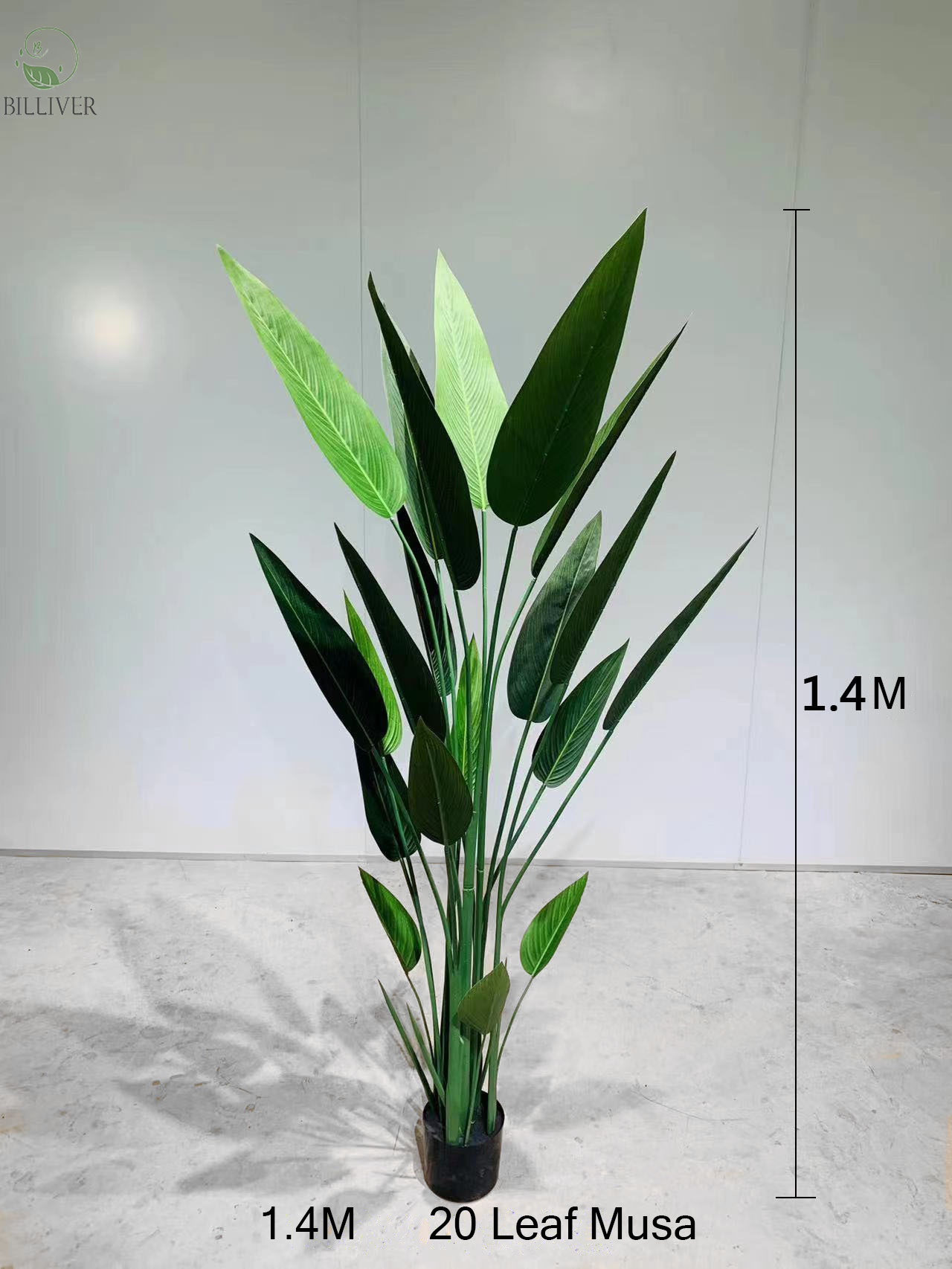 Los canna1.4M