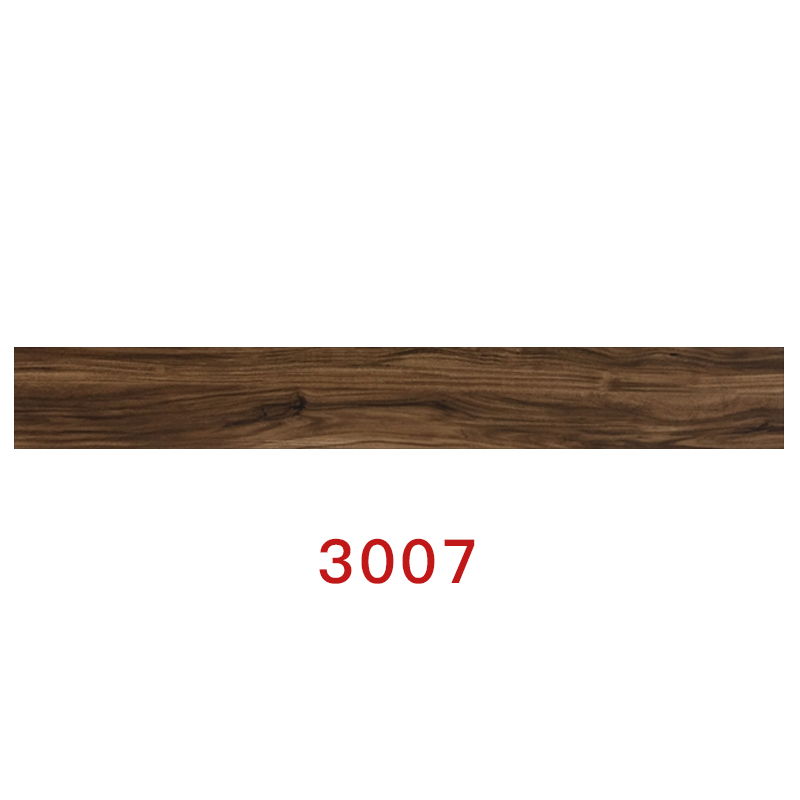3007