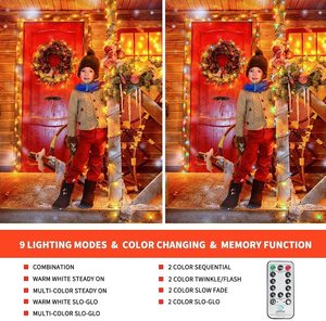 Le luci a LED che cambiano colore possono essere collegate al timer remoto-9 modalità di illuminazione-decorazione del giardino di nozze dell'albero di natale - Product Image 3