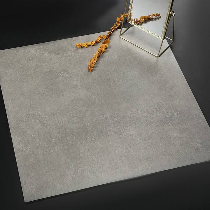 Fashion light gray 6705 - 600*600