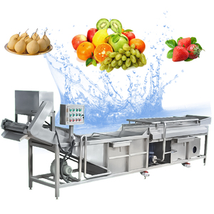 Industriale automatico Aloe Vera frutta e verdura rondella linea di produzione nucleo motore componente di trasformazione alimentare impianto