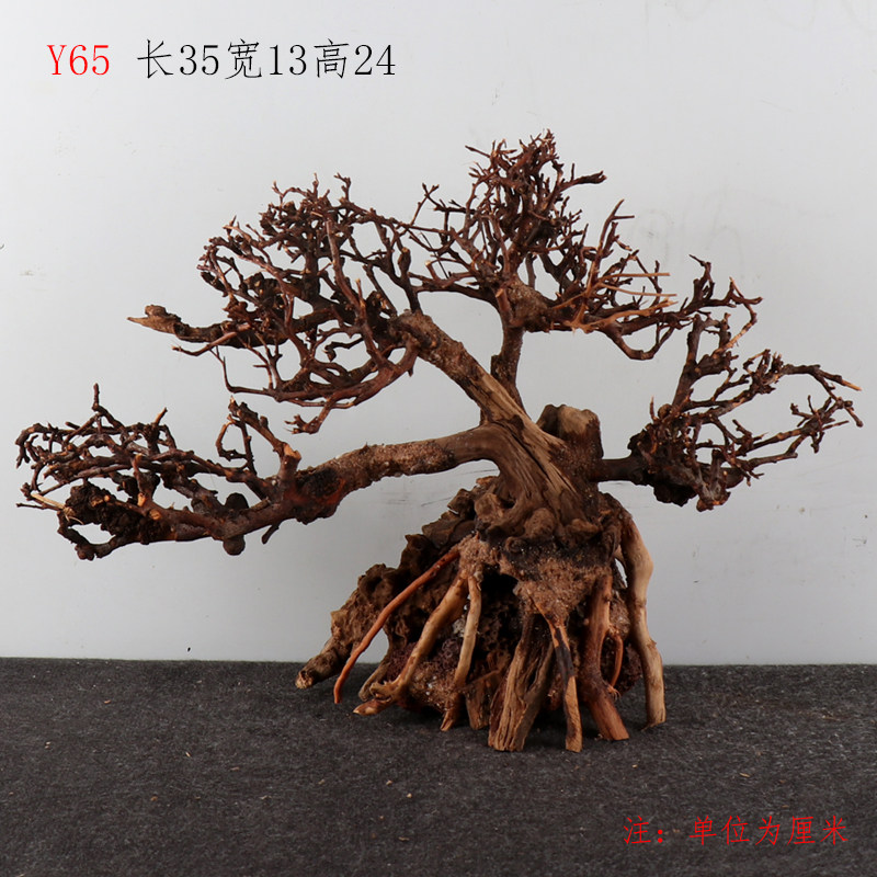 Y65