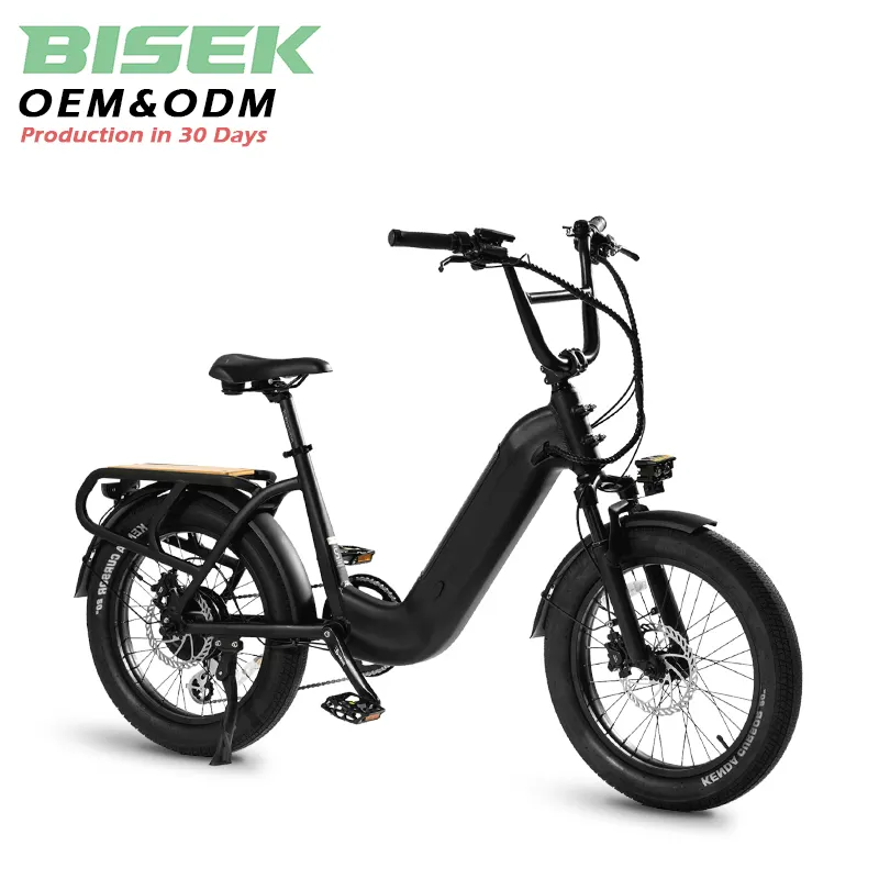 OEM 2024 nuovo 250w 350w 500w 36v 48v batteria al litio grasso mozzo motore elettrico City Bike Cargo Ebike Made In China