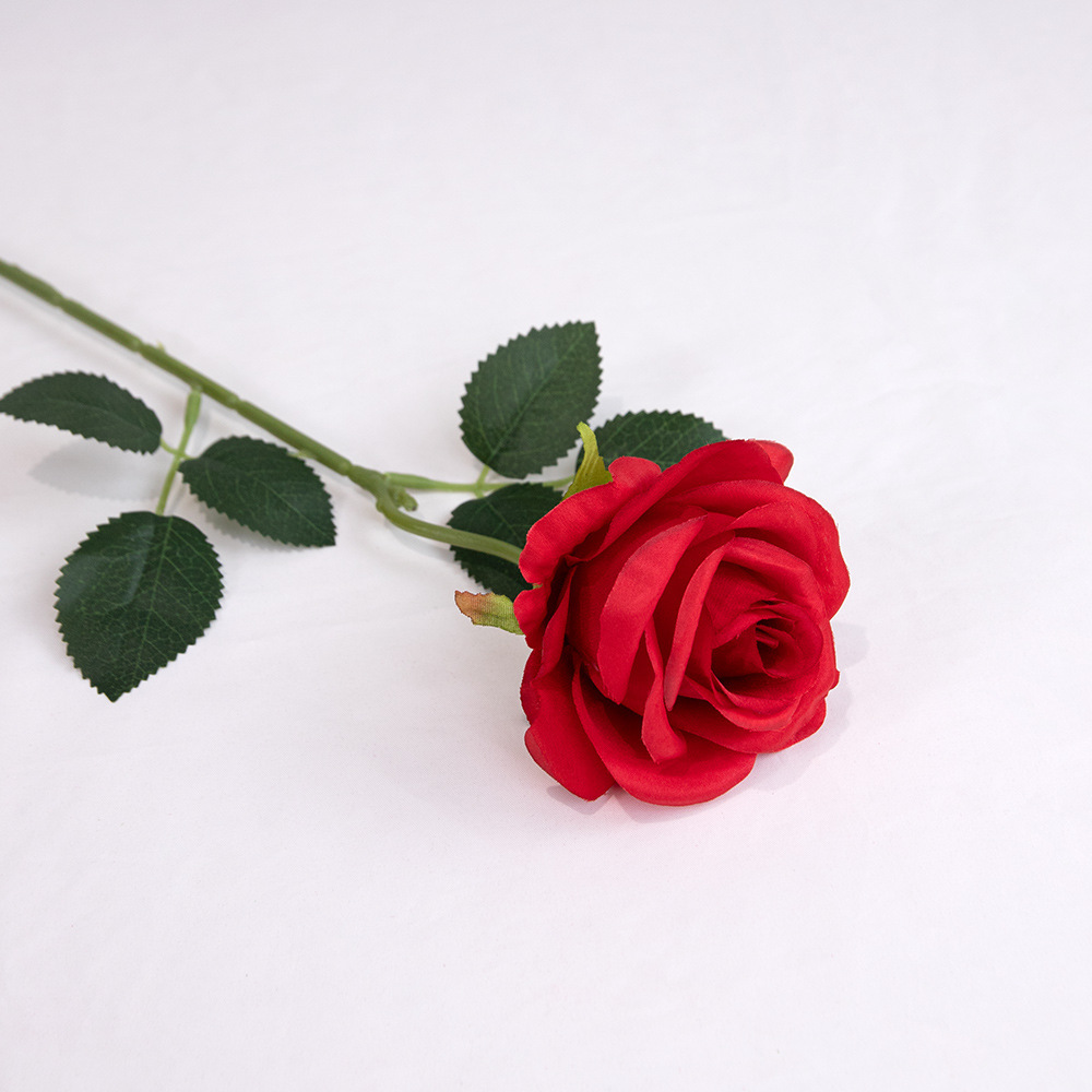Fresh, red rose color (Instagram style)