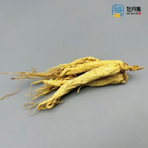 All'ingrosso radice di Ginseng bianco di alta qualità 3 ~ 15cm di lunghezza naturale radice intera massa di Ginseng - Product Image 4