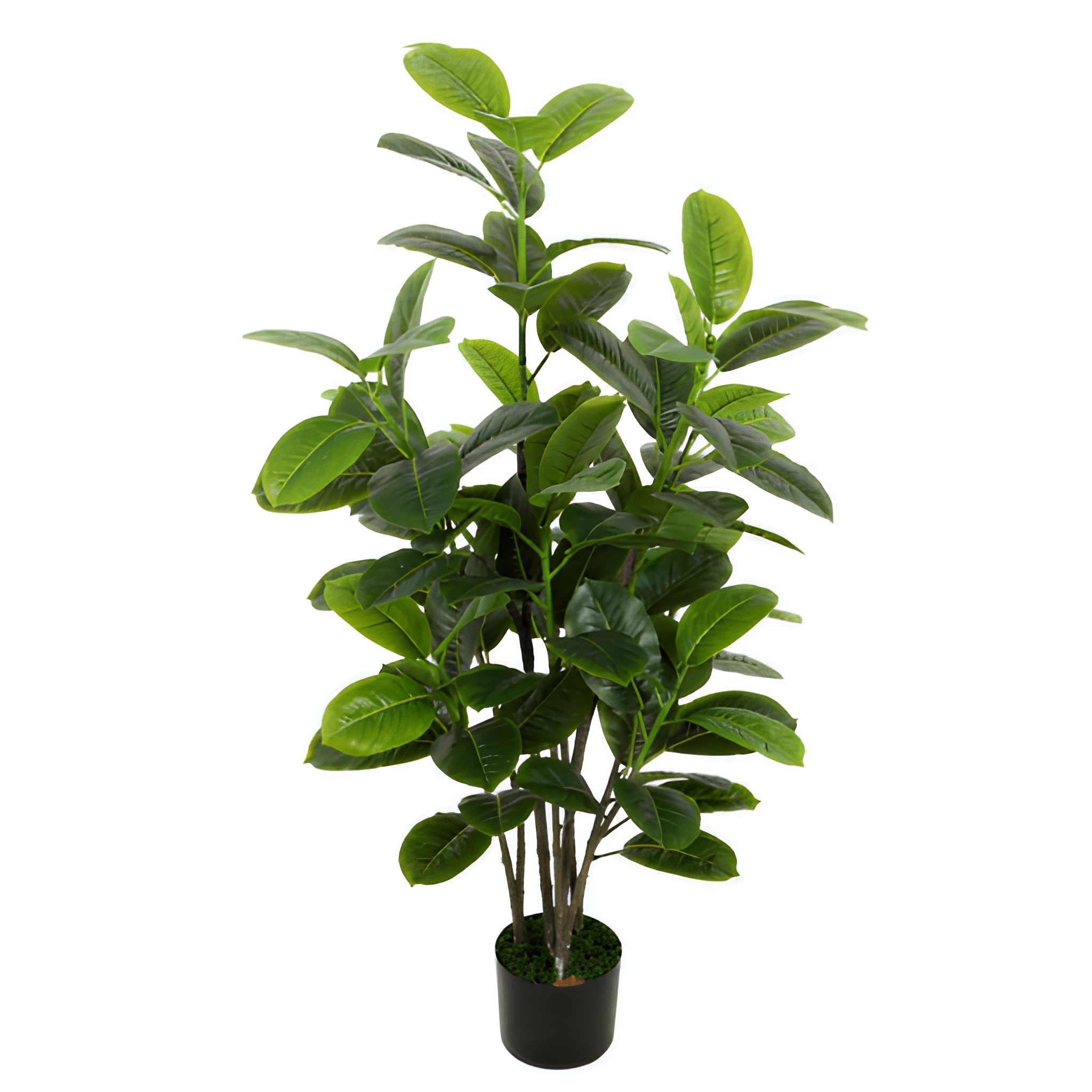 Pure Green