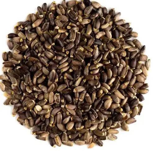 Milk Thistle Seed Hot Sale Silybum Marianum