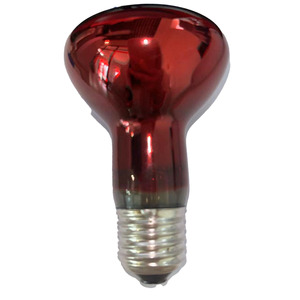 卸売爬虫類クローラーランプ<span class=keywords><strong>R</strong></span>タイプR6360W80W動物加熱赤外線白熱リフレクターランプ
