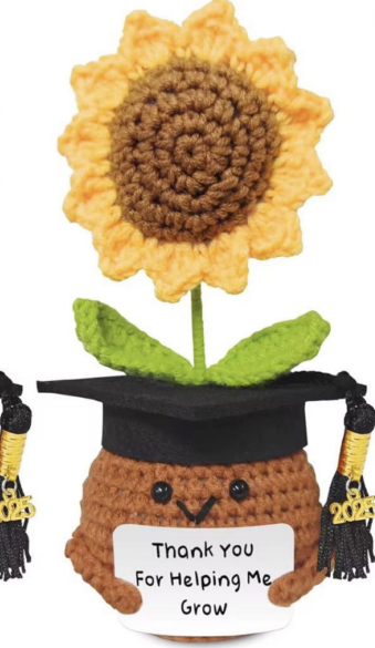 Girasol de graduación marrón38