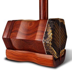 Vendi bene nuovo tipo di strumento musicale Folk cinese Erhu professionale a 2 corde - Product Image 5