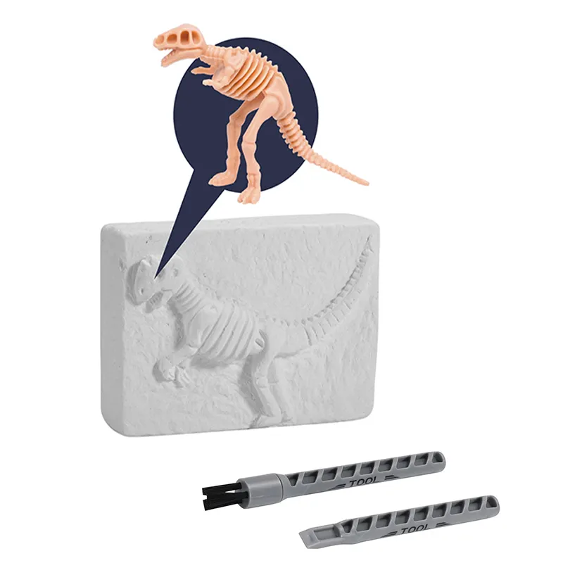 Dinosaure DJG KIT Éducatif DIY creuser jeu Excavation Fossiles Creuser Dino oeuf plâtre Ensemble Paléontologie Jouet pour enfants