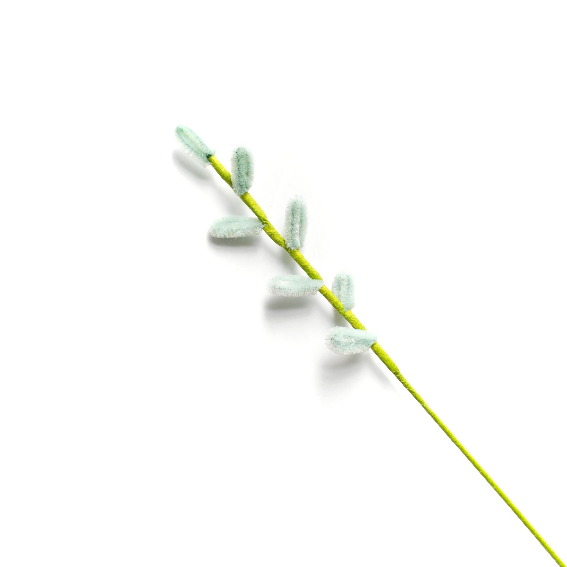 Light Gray Green
