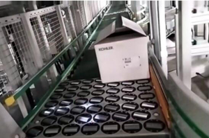 Sistema de alimentación de bolsitas/máquina de clasificación de ruedas automática de bolsas/máquina contadora de cajas de cartón