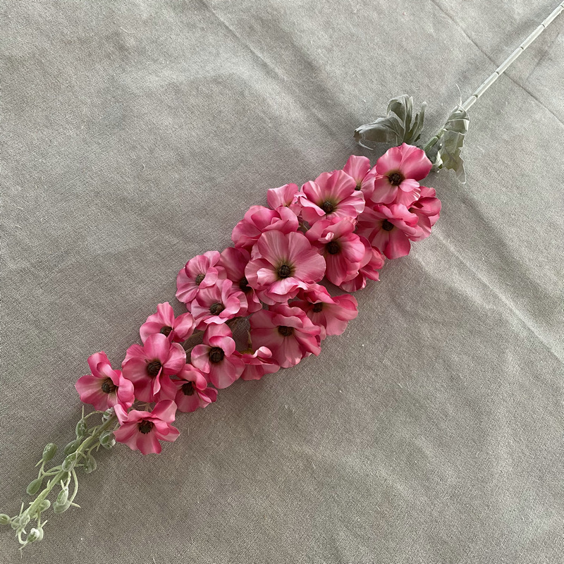 Rose Madder