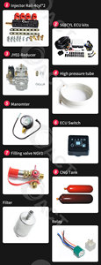 CNG/LPG Autogas Abgeschlossenes Kit für sequentielles Einspritz system/Mehr punkts ystem 8 Zylinder Dual Fuels Factory