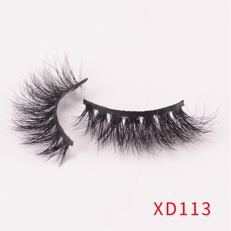 XD 113