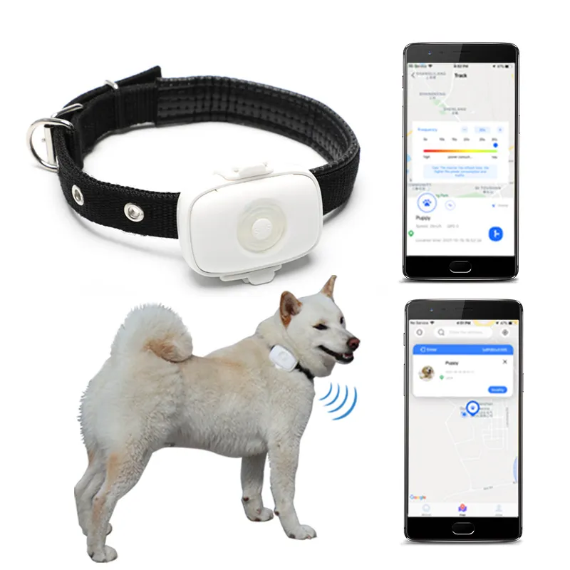 4G перезаряжаемый GPS-трекер для собак