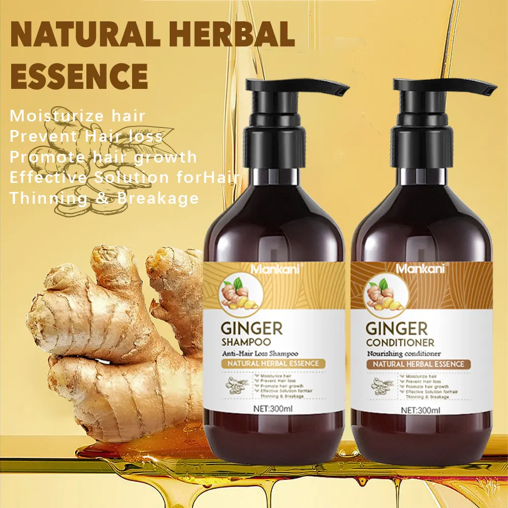 300 ml Ginger Hair Shampoo Oil Control Anti-hair Loss Hair Care Shampoo E Condicionador Atacado