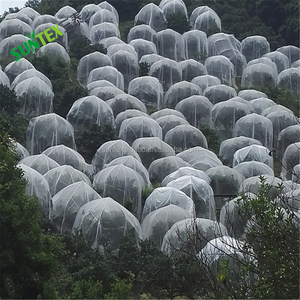 Malla de protección contra insectos con cordón para jardín, cubierta para plantas, frutas y flores, 60 unidades