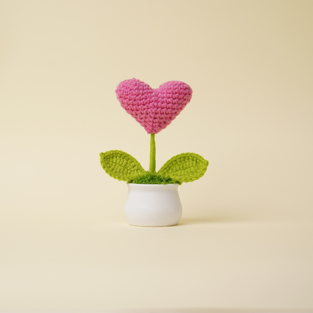 Plante en pot en forme de coeur rose-rouge