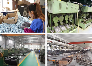 Wholesale of New Materials Ss 500mm Long Flat <strong>Countersunk</strong> Step <strong>Nib</strong> Pivot Carriage <strong>Bolt</strong>