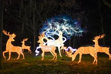 2024 fischfest im freien handgemachte laterne ausstellung hängend weihnachten led chinesisches papier tier seide laternen dekorativ