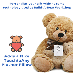 Small <strong>USB</strong> Sound Voice Recording <strong>Device</strong> Module Custom <strong>Programmable</strong> Plastic Box with Customized Music Chip for Plush Toys - Product Image 4