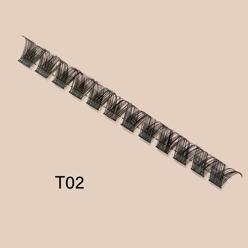 T02