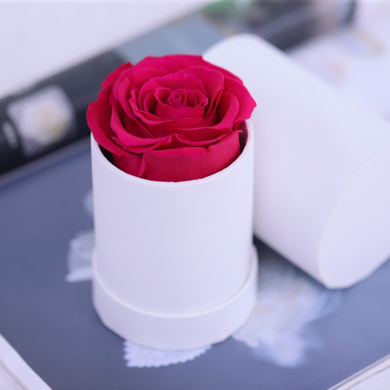 1 rose rouge dans une boîte ronde blanche